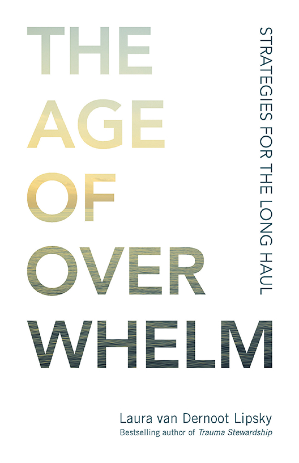 The Age of Overwhelm Strategies for the Long Haul 1st Edition - (PDF/EPUB Version)
