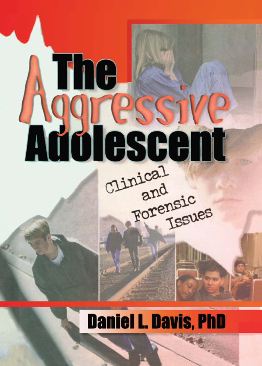 The Aggressive Adolescent Clinical and Forensic Issues 1st Edition - (PDF/EPUB Version)