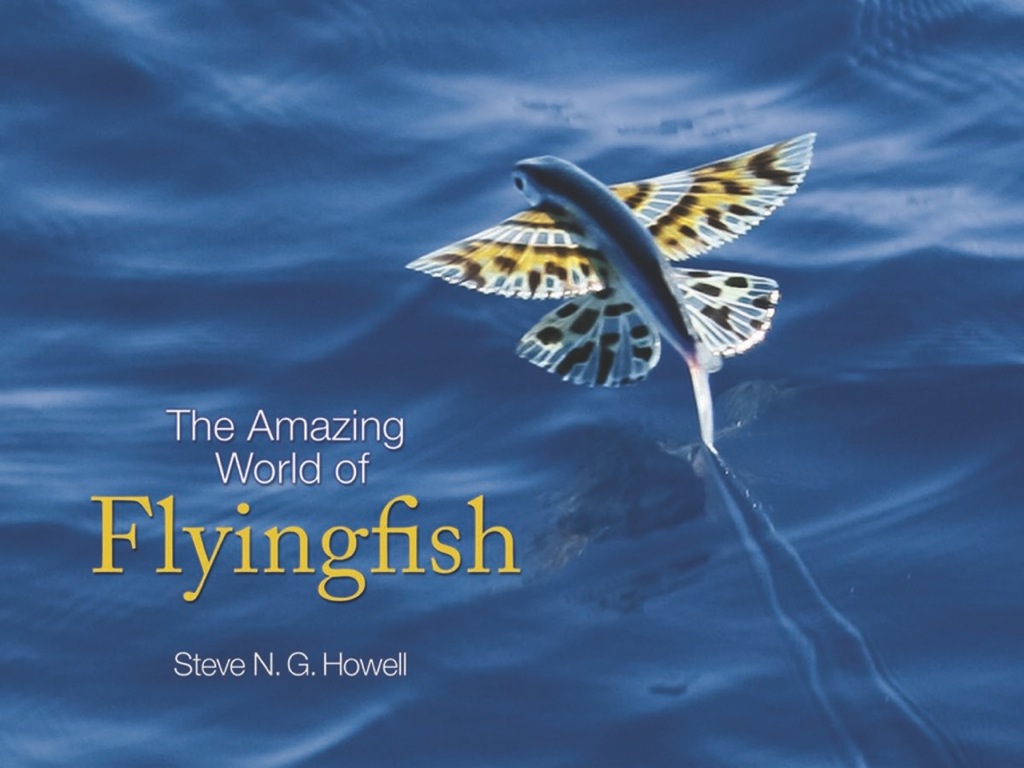 The Amazing World of Flyingfish - (PDF/EPUB Version)
