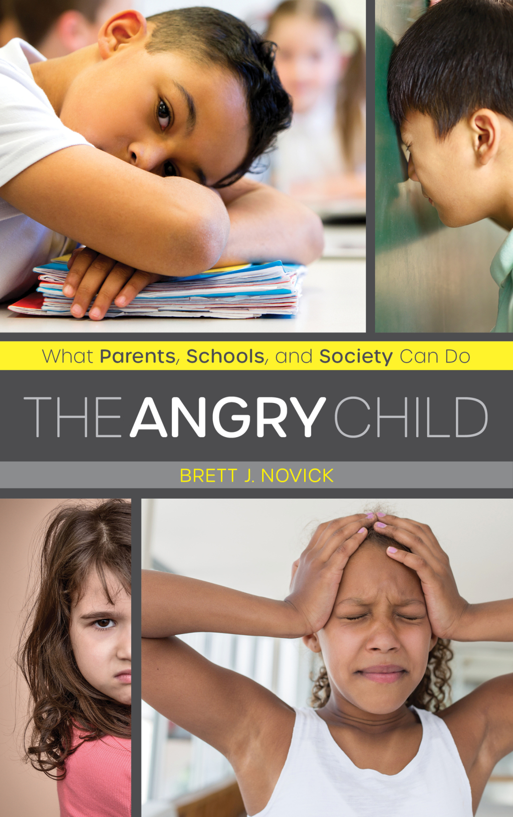 The Angry Child What Parents, Schools, and Society Can Do - (PDF/EPUB Version)