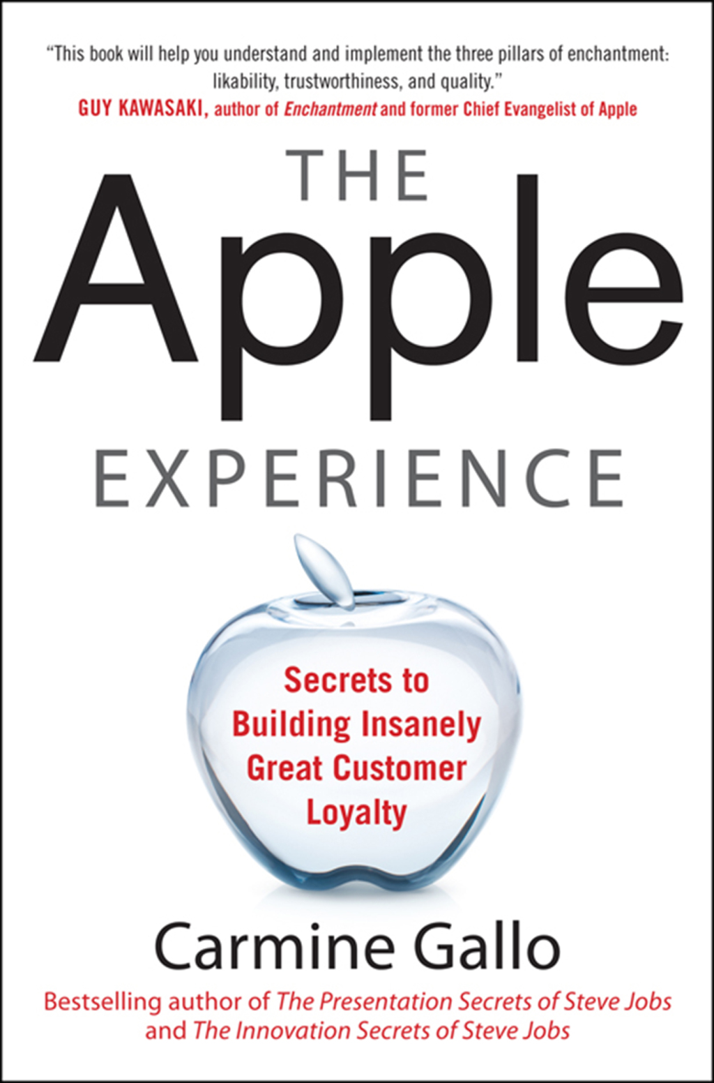 The Apple Experience (PB) 1st Edition - (PDF/EPUB Version)