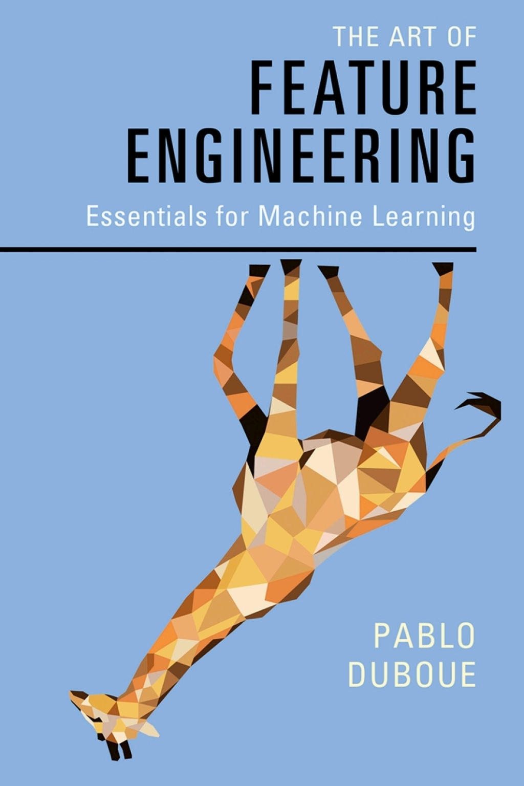 The Art of Feature Engineering Essentials for Machine Learning â€“ PDF ...