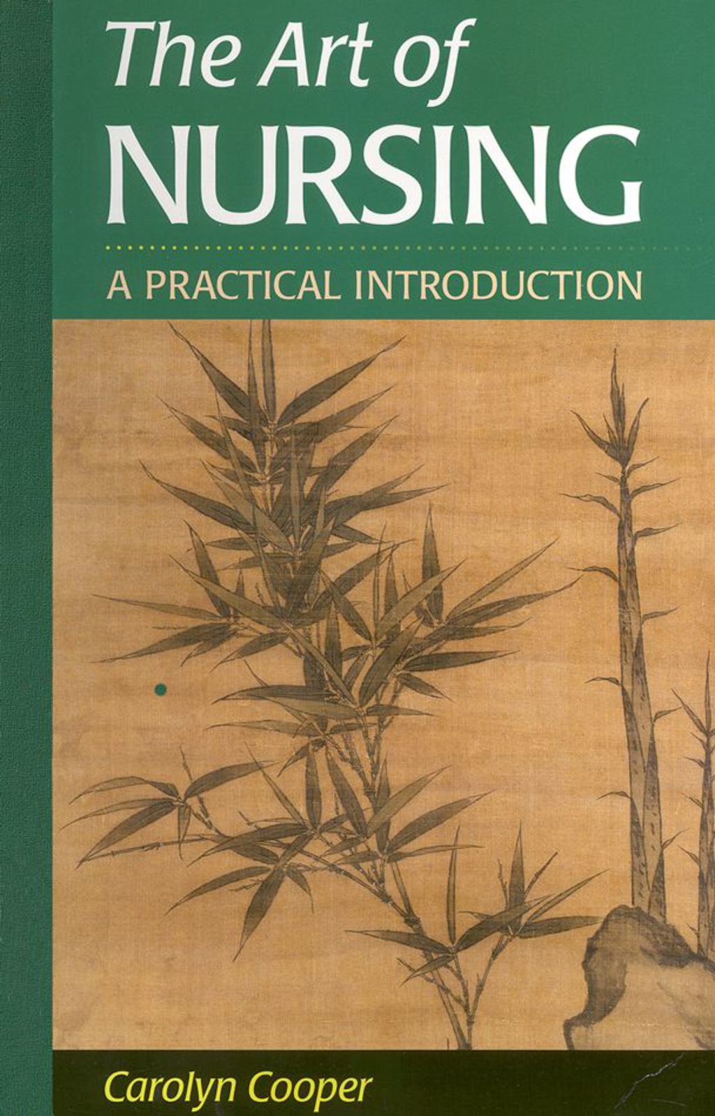 The Art of Nursing: A Practical Introduction 1st Edition - (PDF/EPUB Version)