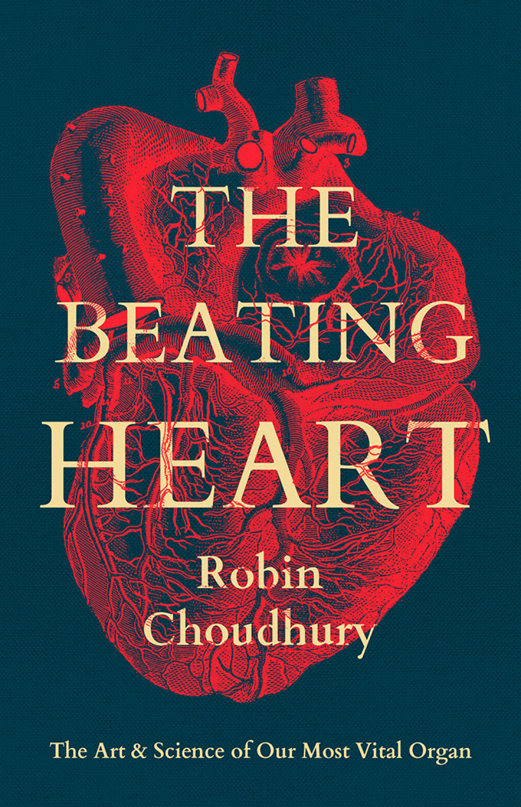 The Beating Heart The Art and Science of Our Most Vital Organ 1st Edition - (PDF/EPUB Version)