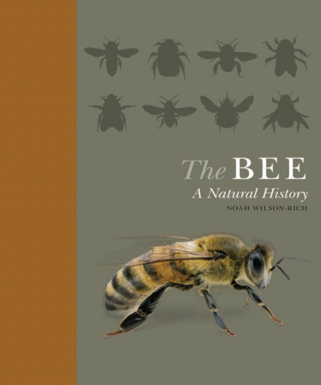 The Bee A Natural History - (PDF/EPUB Version)