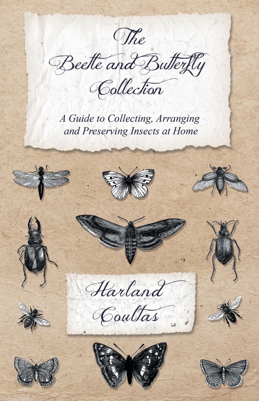 The Beetle and Butterfly Collection - A Guide to Collecting, Arranging and Preserving Insects at Home - (PDF/EPUB Version)