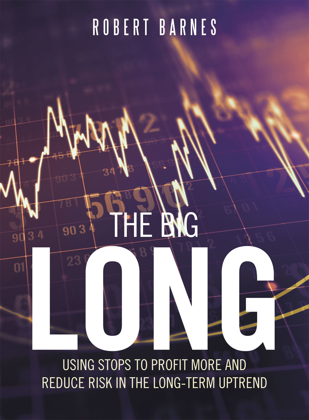The Big Long Using Stops to Profit More and Reduce Risk in the Long-Term Uptrend - (PDF/EPUB Version)