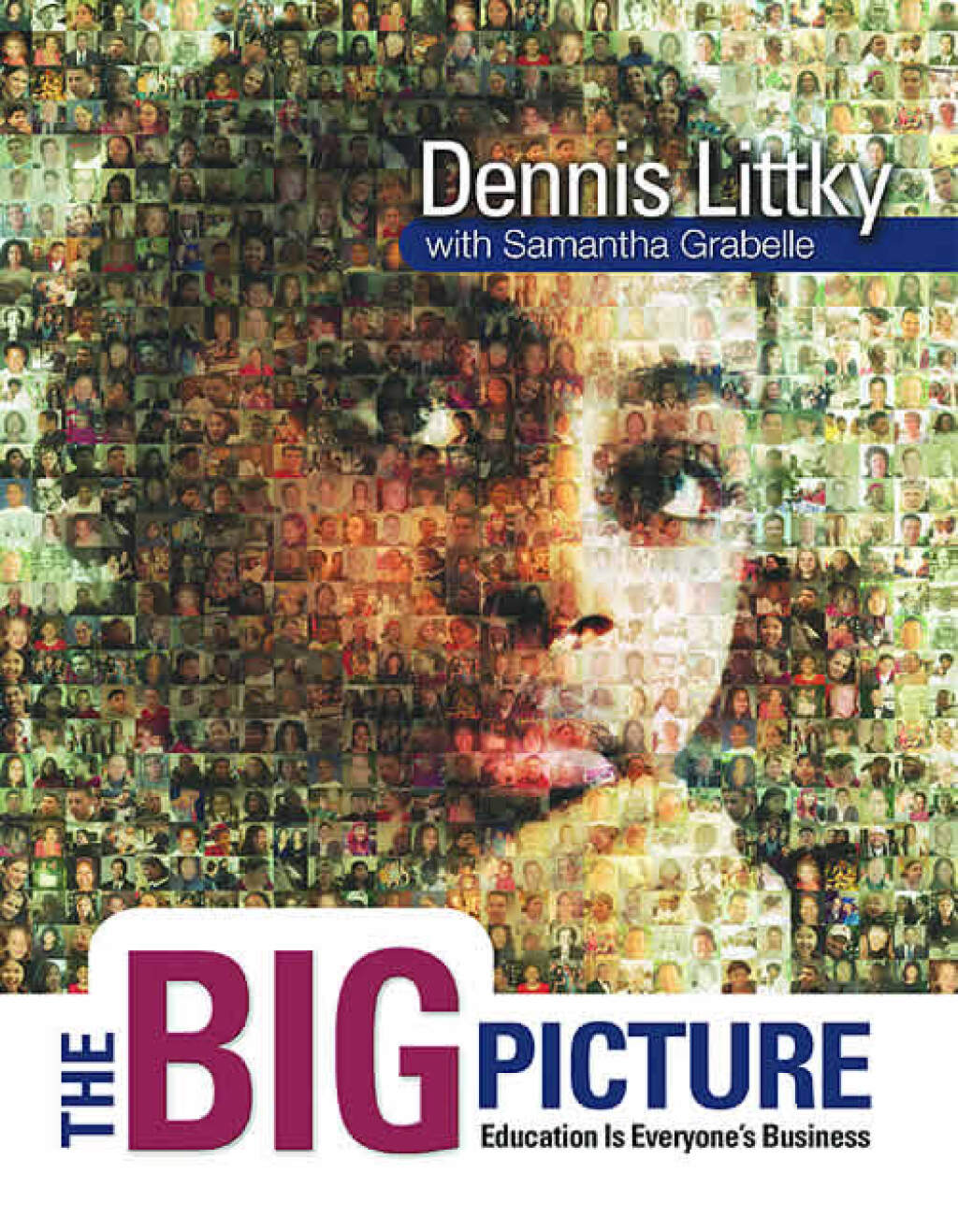 The Big Picture Education Is Everyone's Business - (PDF/EPUB Version)
