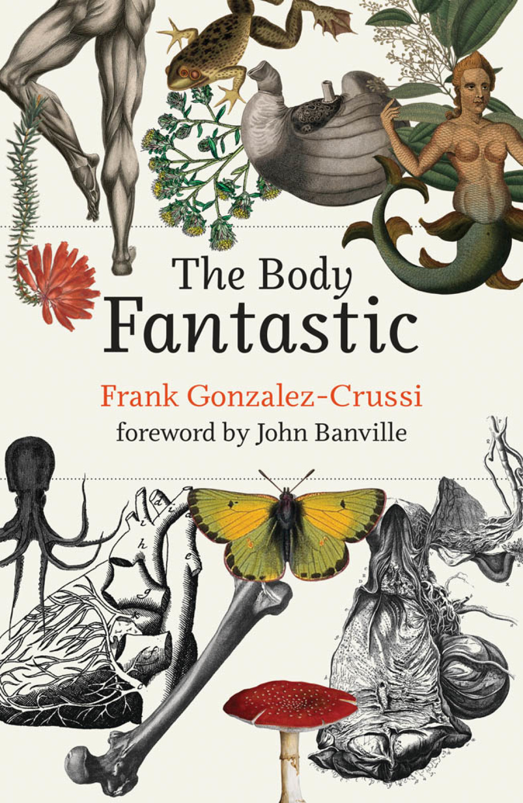 The Body Fantastic - (PDF/EPUB Version)