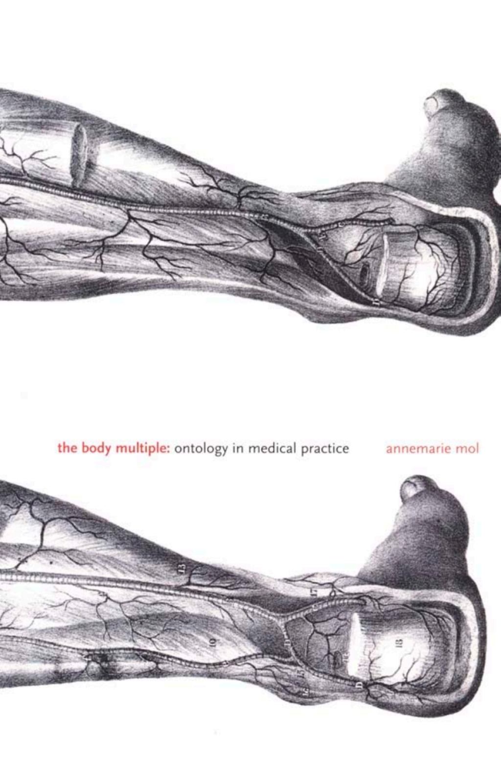 The Body Multiple Ontology in Medical Practice - (PDF/EPUB Version)