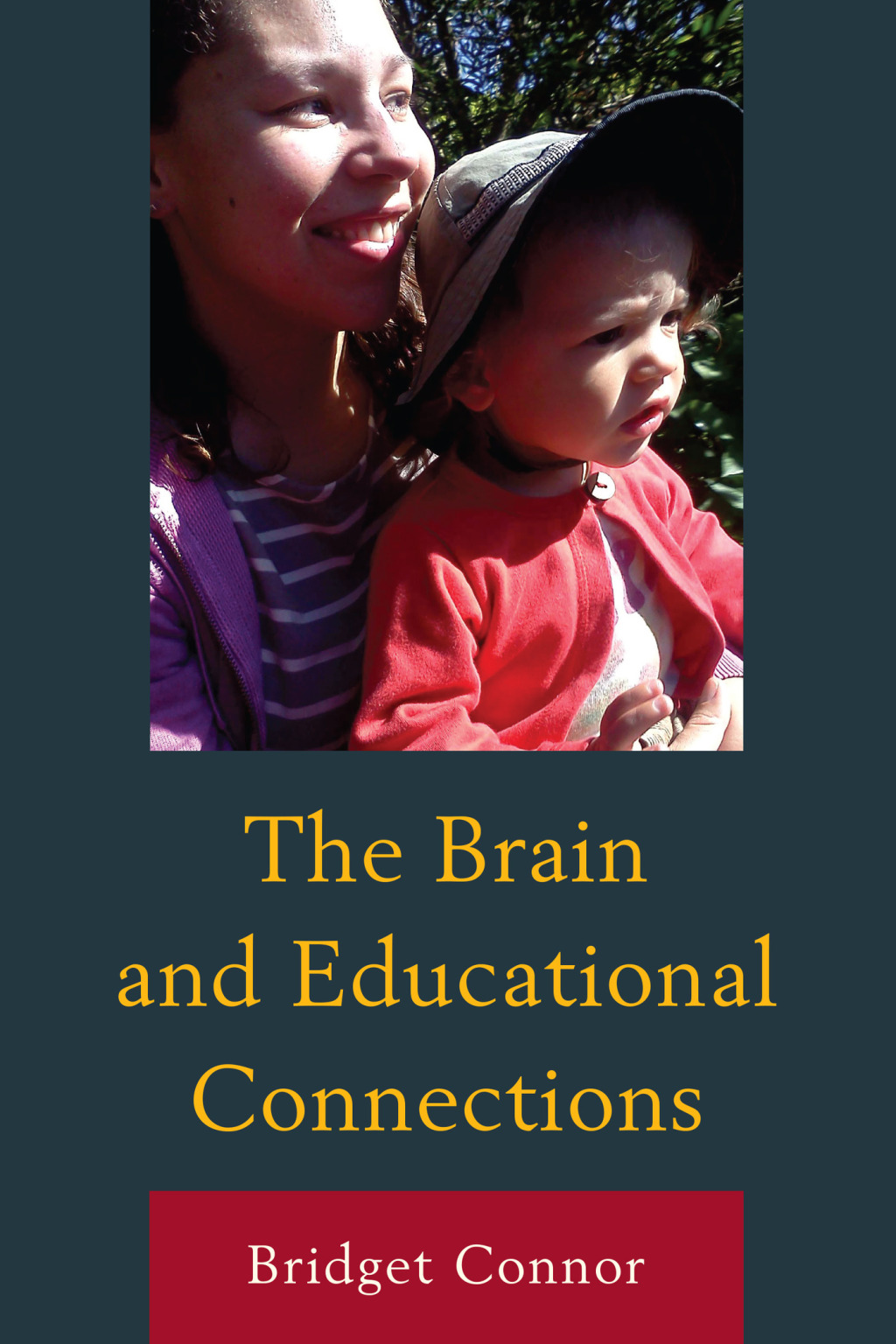 The Brain and Educational Connections - (PDF/EPUB Version)