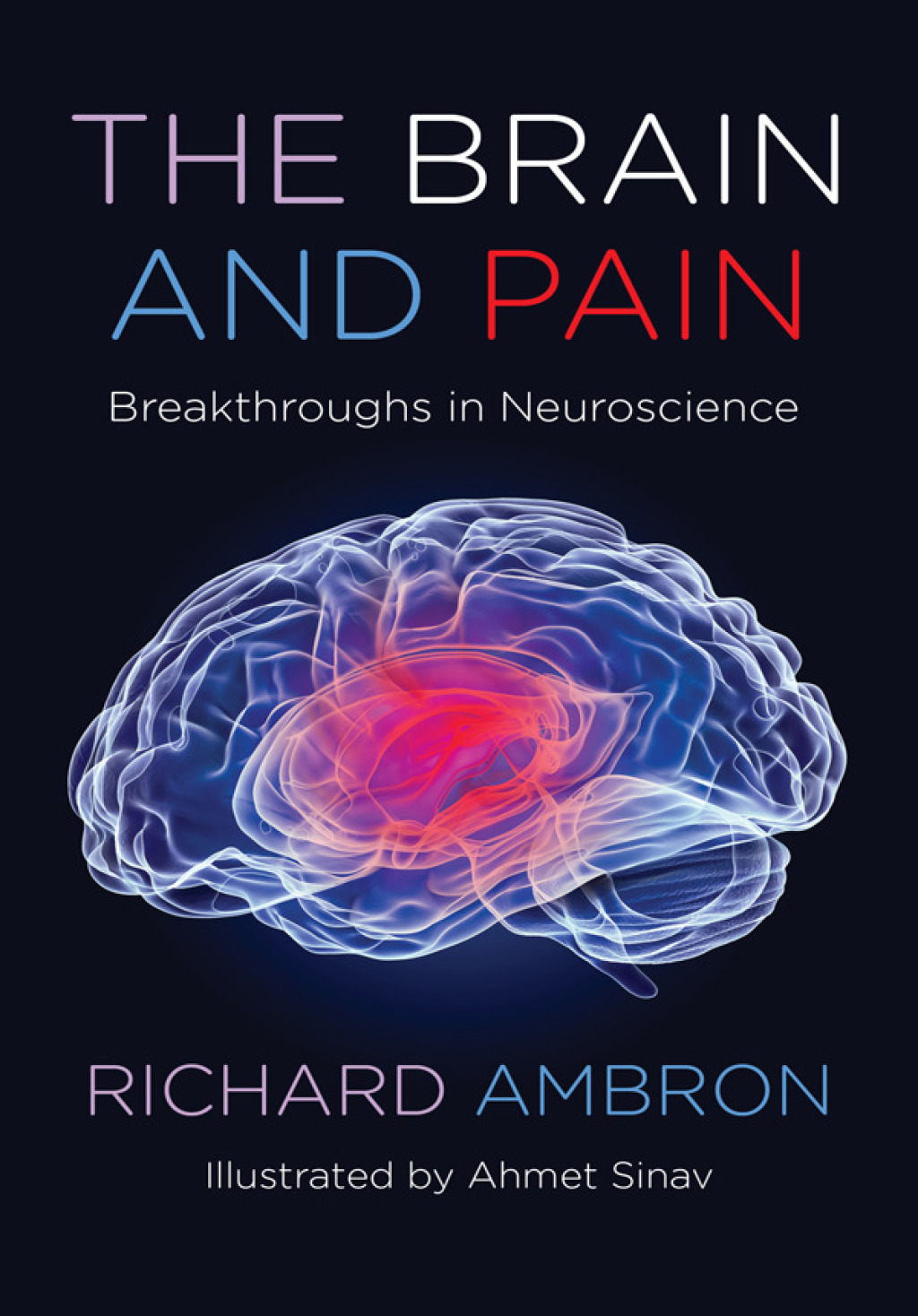 The Brain and Pain Breakthroughs in Neuroscience - (PDF/EPUB Version)