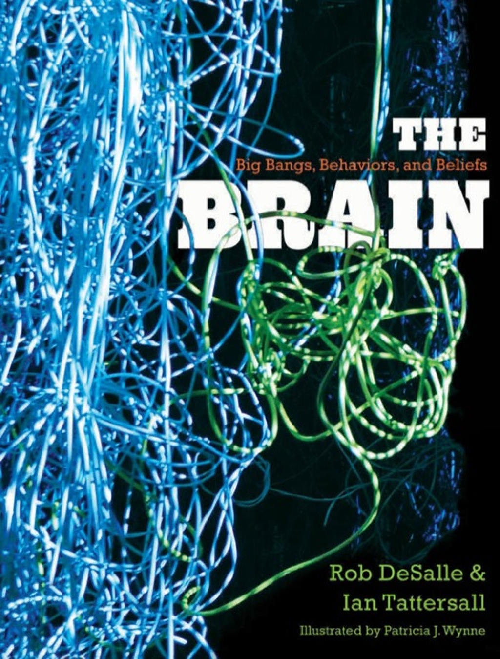 The Brain Big Bangs, Behaviors, and Beliefs - (PDF/EPUB Version)