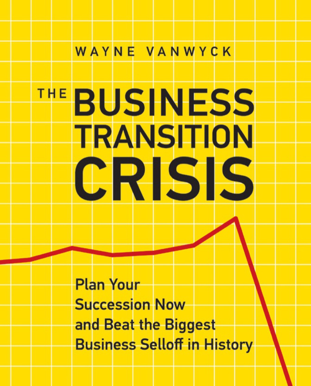 The Business Transition Crisis - (PDF/EPUB Version)