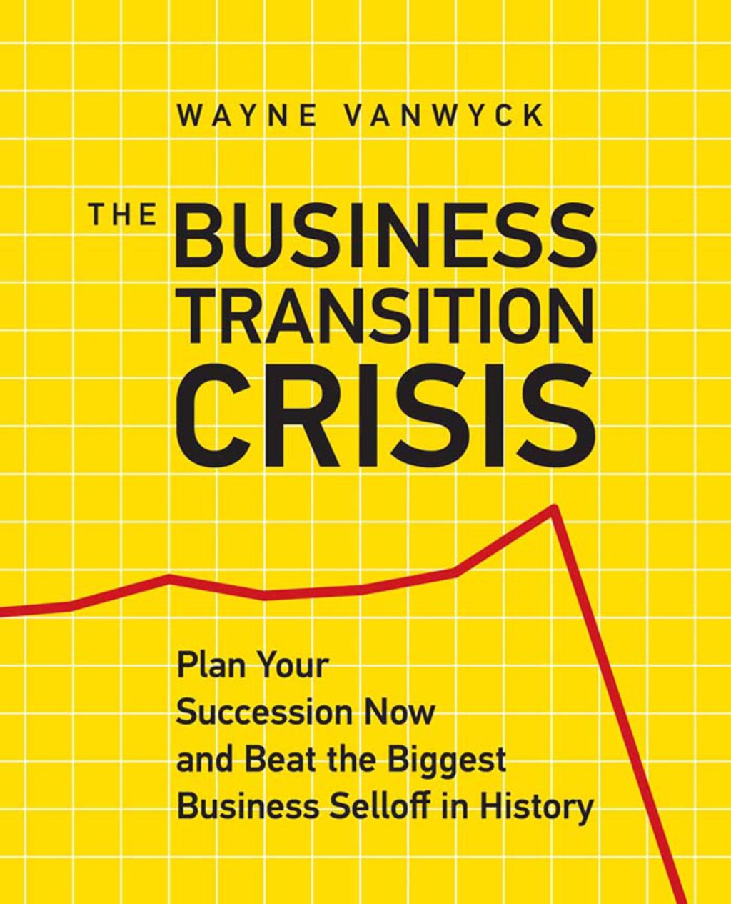 The Business Transition Crisis Plan Your Succession Now to Beat the Biggest Business Selloff in History - (PDF/EPUB Version)