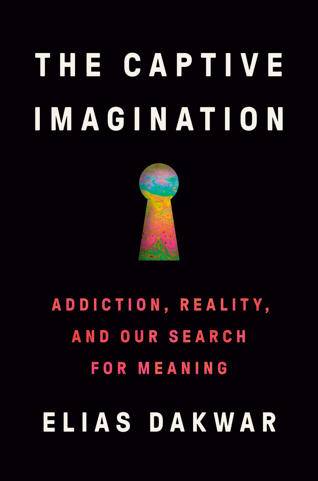 The Captive Imagination Addiction, Reality, and Our Search for Meaning - (PDF/EPUB Version)