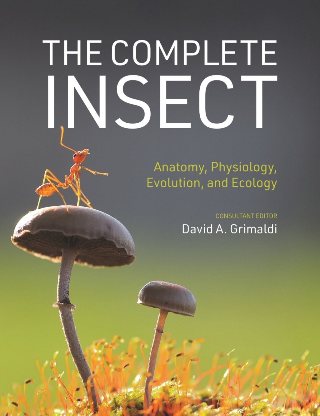 The Complete Insect Anatomy, Physiology, Evolution, and Ecology - (PDF/EPUB Version)