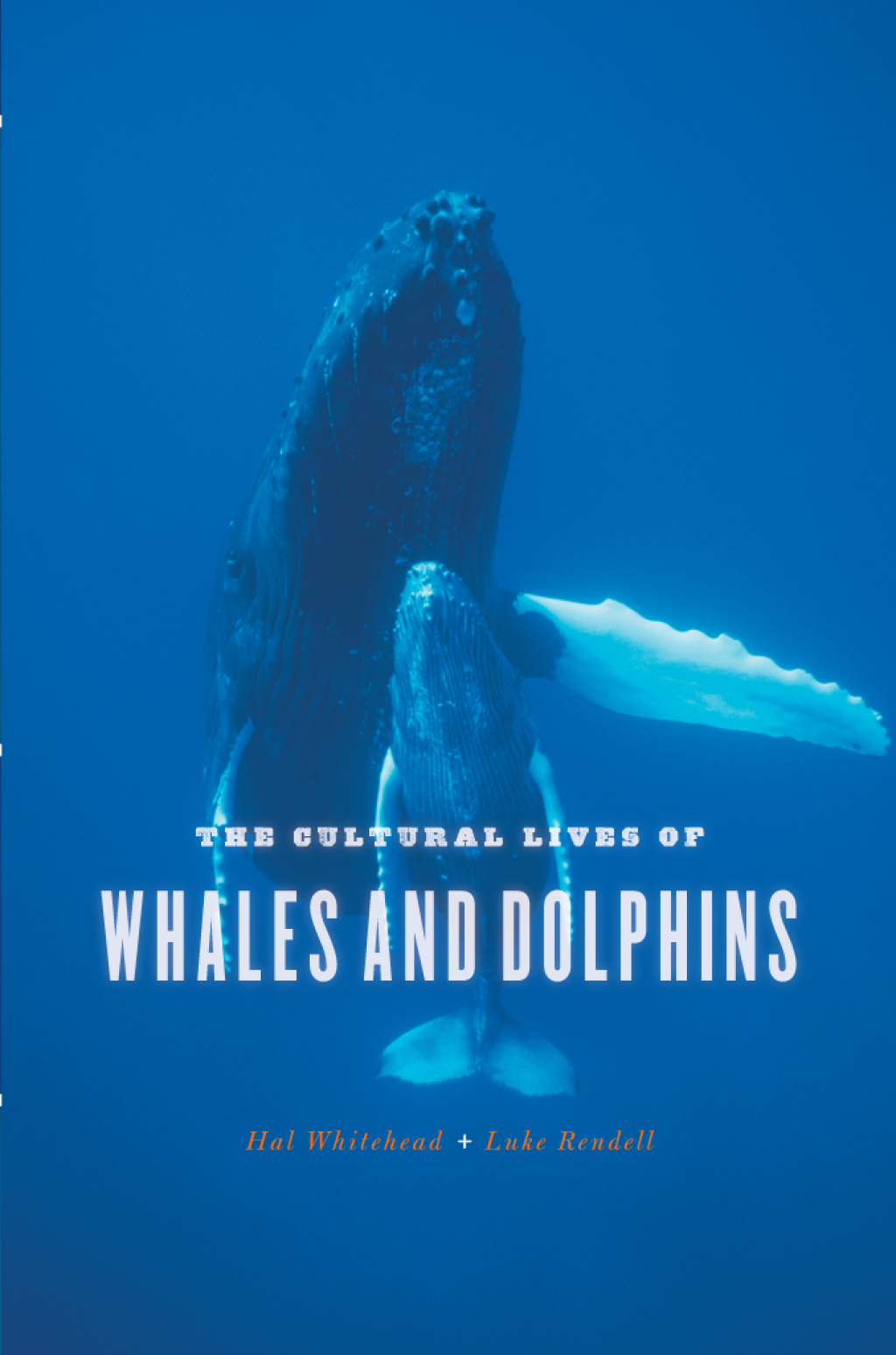 The Cultural Lives of Whales and Dolphins 1st Edition - (PDF/EPUB Version)