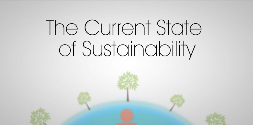 The Current State of Sustainability: Connect Business Opportunities to the Greater Social, Environmental and Economic issues of Today 1st Edition - (PDF/EPUB Version)