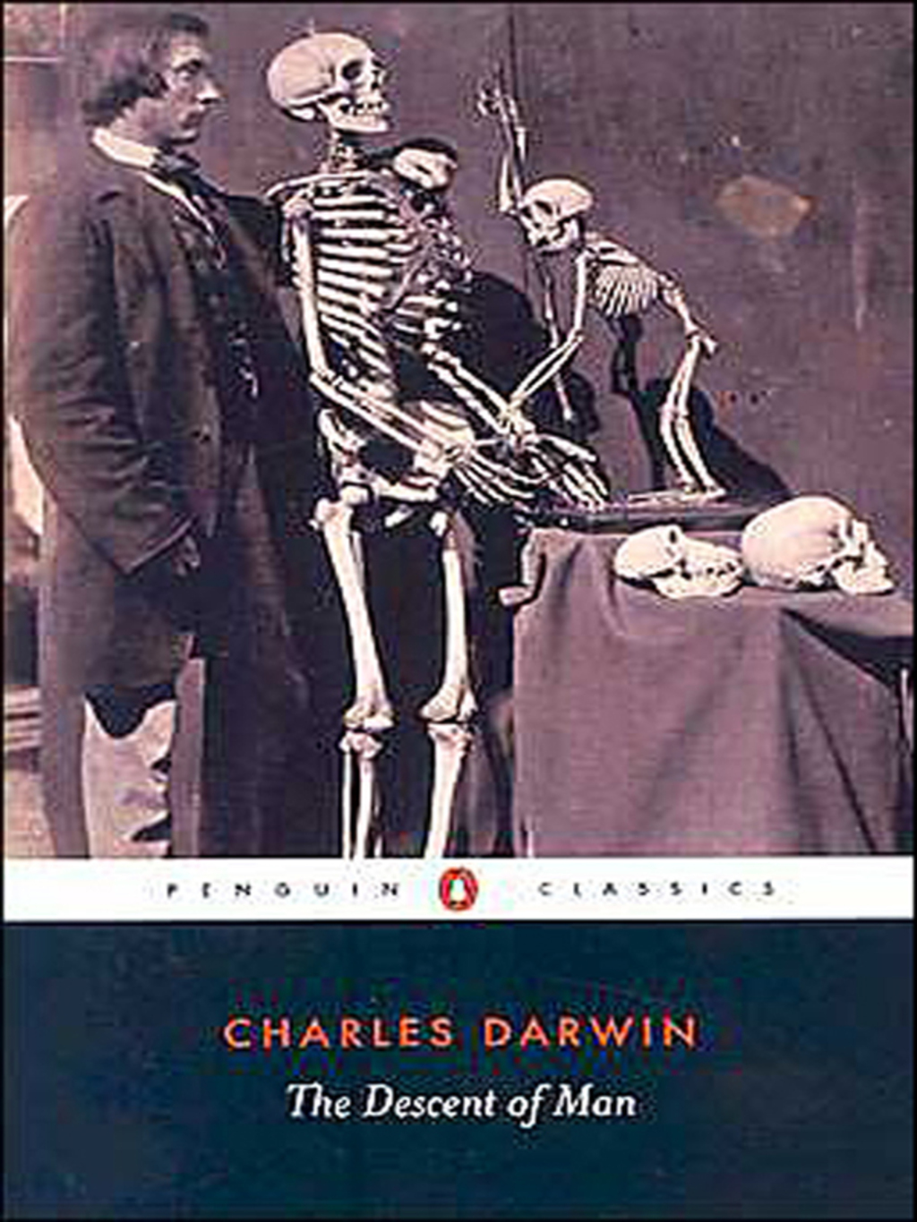 The Descent of Man The Concise Edition - (PDF/EPUB Version)
