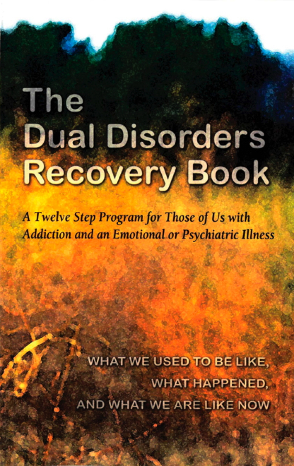 The Dual Disorders Recovery Book A Twelve Step Program for Those of Us with Addiction and an Emotional or Psychiatric Illness - (PDF/EPUB Version)
