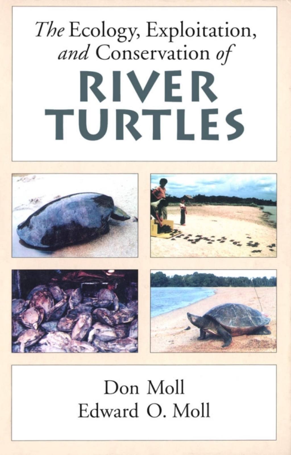 The Ecology, Exploitation and Conservation of River Turtles - (PDF/EPUB Version)