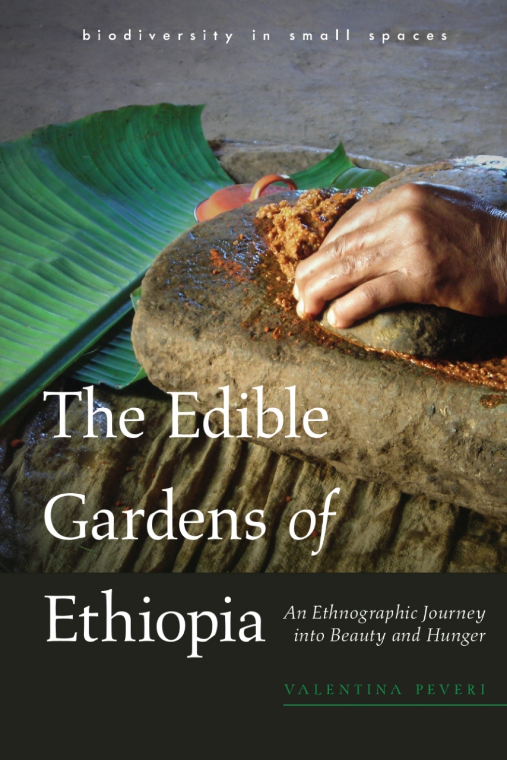 The Edible Gardens of Ethiopia An Ethnographic Journey into Beauty and ...