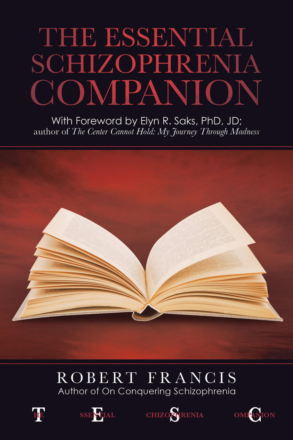The Essential Schizophrenia Companion: with Foreword by Elyn R. Saks, Phd, Jd - (PDF/EPUB Version)