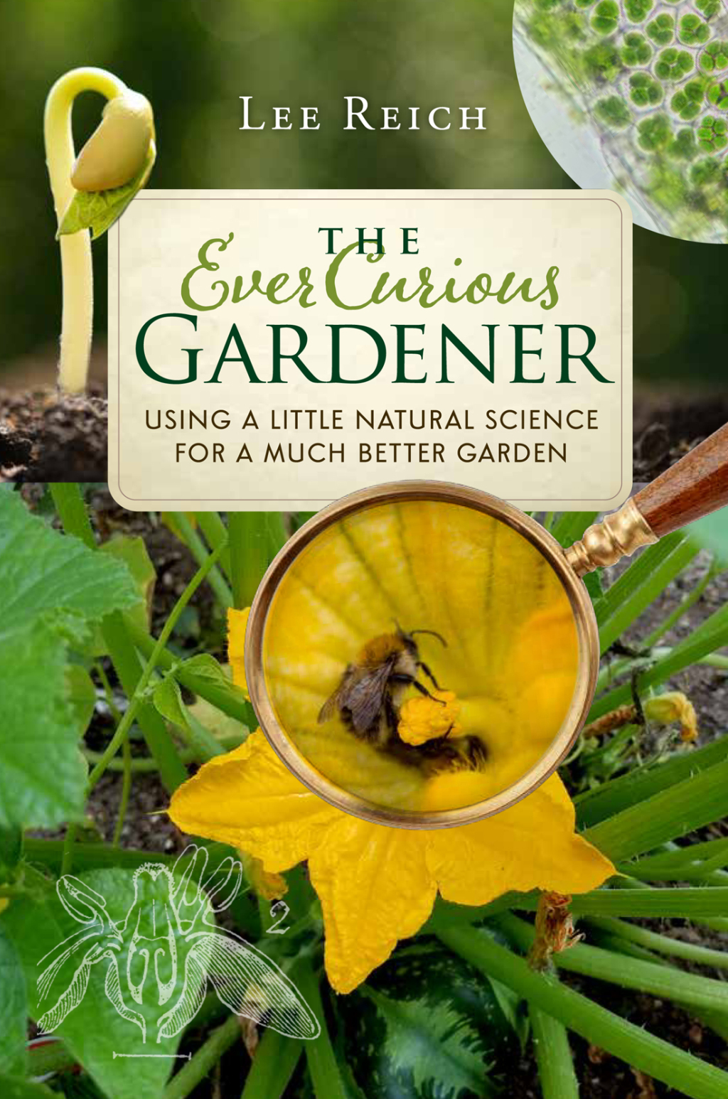 The Ever Curious Gardener Using a Little Natural Science for a Much Better Garden - (PDF/EPUB Version)