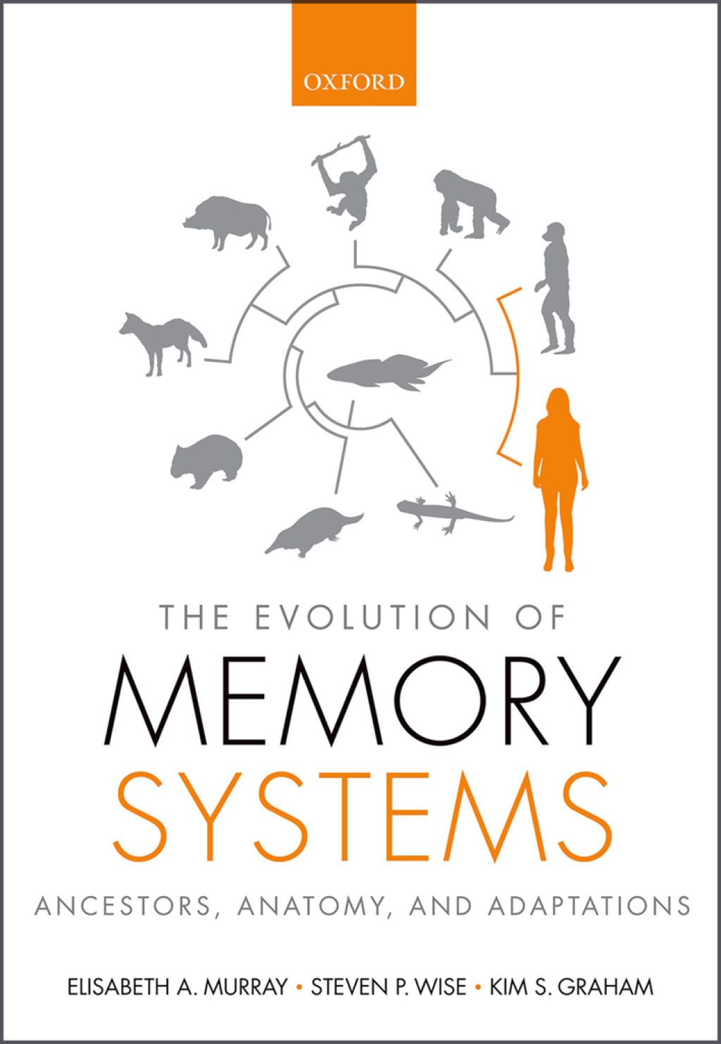 The Evolution of Memory Systems Ancestors, Anatomy, and Adaptations â ...