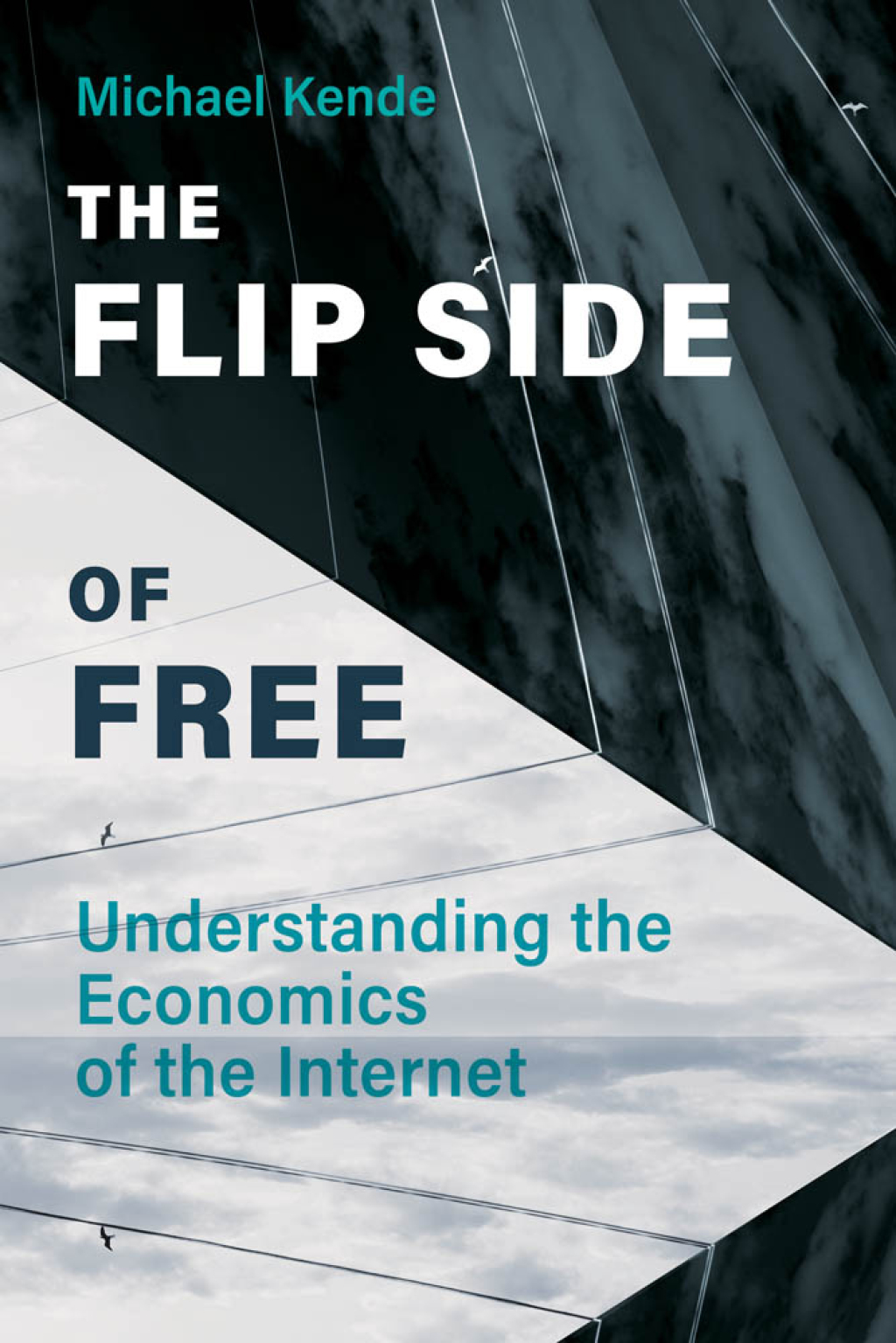 The Flip Side of Free Understanding the Economics of the Internet - (PDF/EPUB Version)