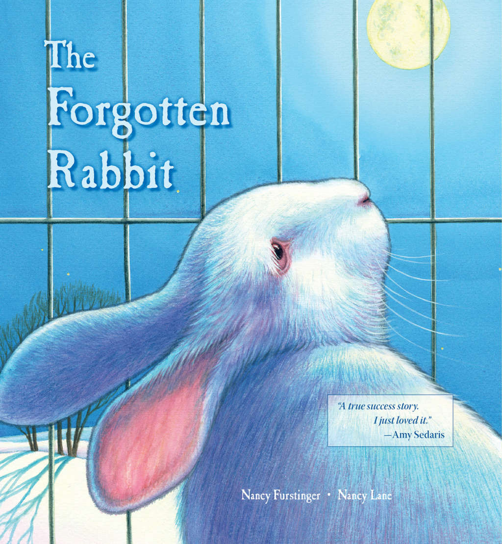 The Forgotten Rabbit - (PDF/EPUB Version)