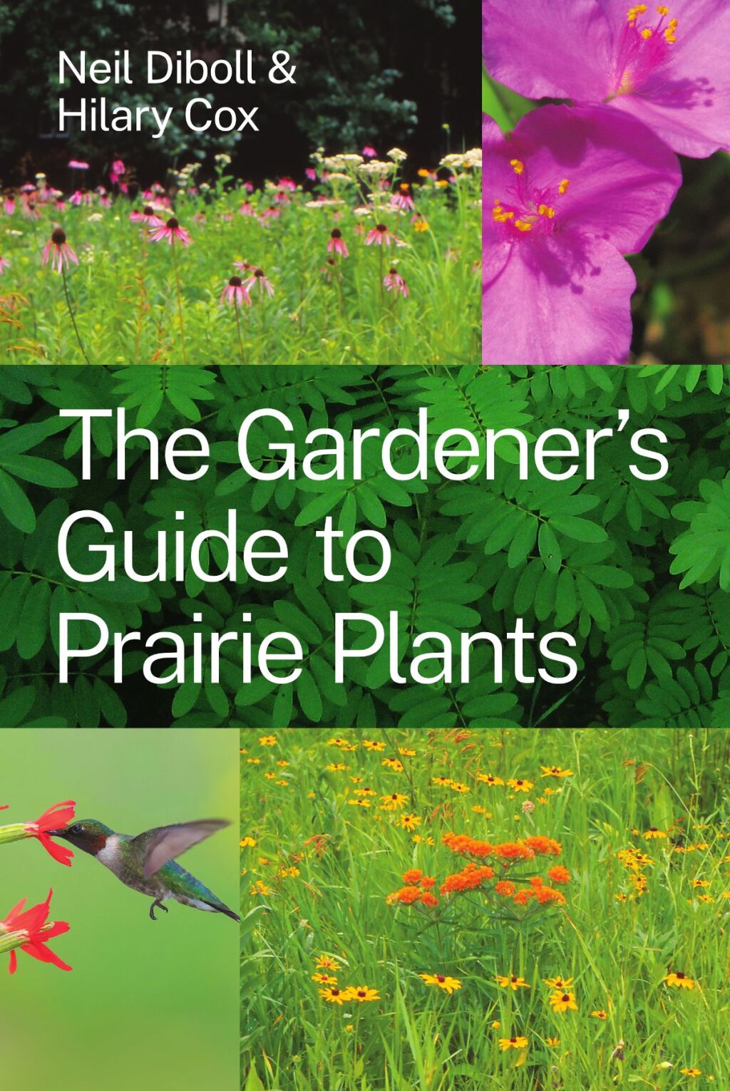 The Gardener's Guide to Prairie Plants - (PDF/EPUB Version)