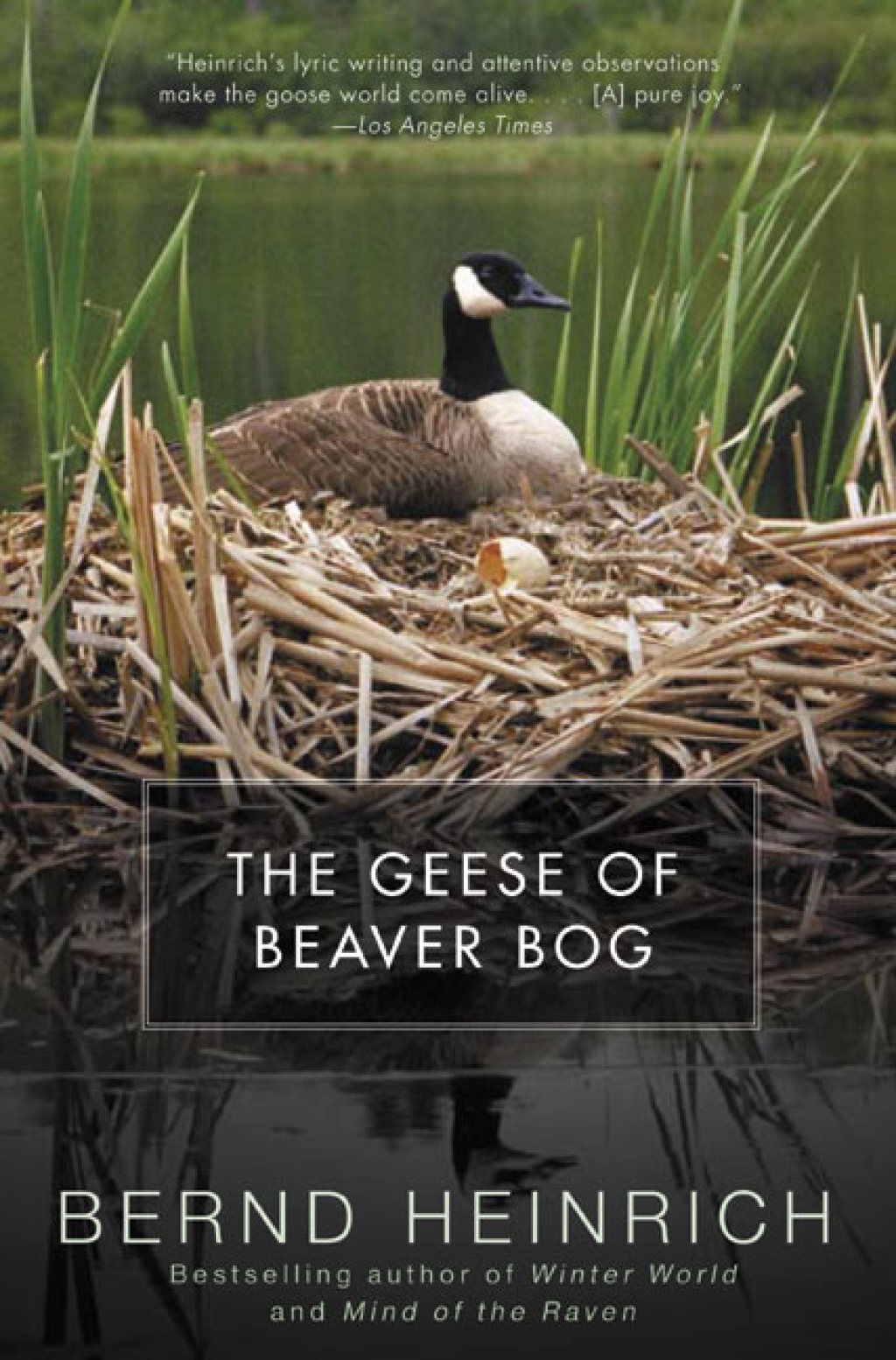 The Geese of Beaver Bog - (PDF/EPUB Version)