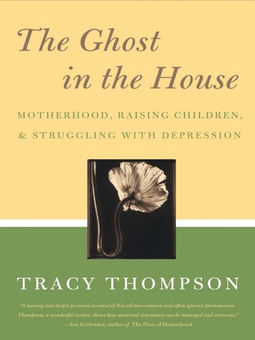 The Ghost in the House Motherhood, Raising Children, & Struggling with Depression - (PDF/EPUB Version)