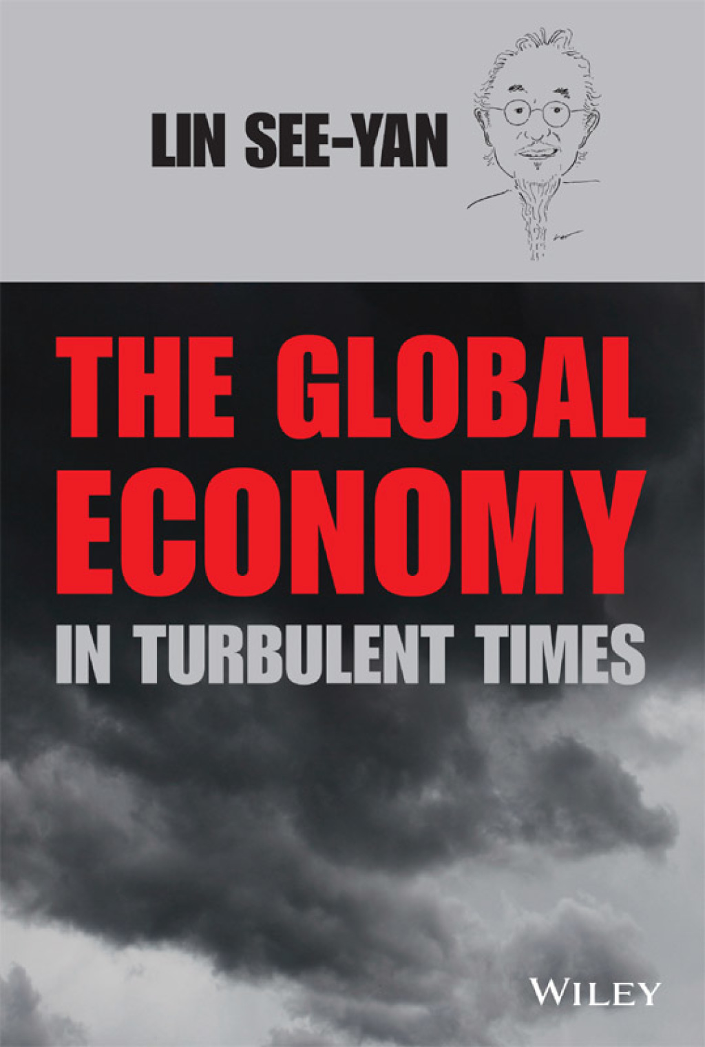 The Global Economy in Turbulent Times 1st Edition - (PDF/EPUB Version)