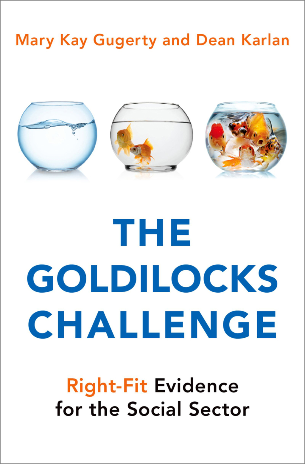 The Goldilocks Challenge Right-Fit Evidence for the Social Sector - (PDF/EPUB Version)
