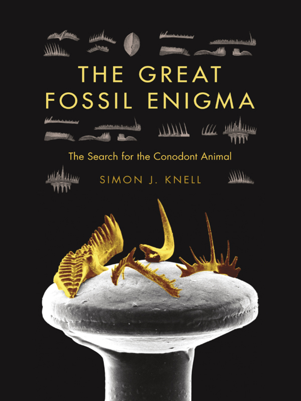 The Great Fossil Enigma The Search for the Conodont Animal - (PDF/EPUB Version)