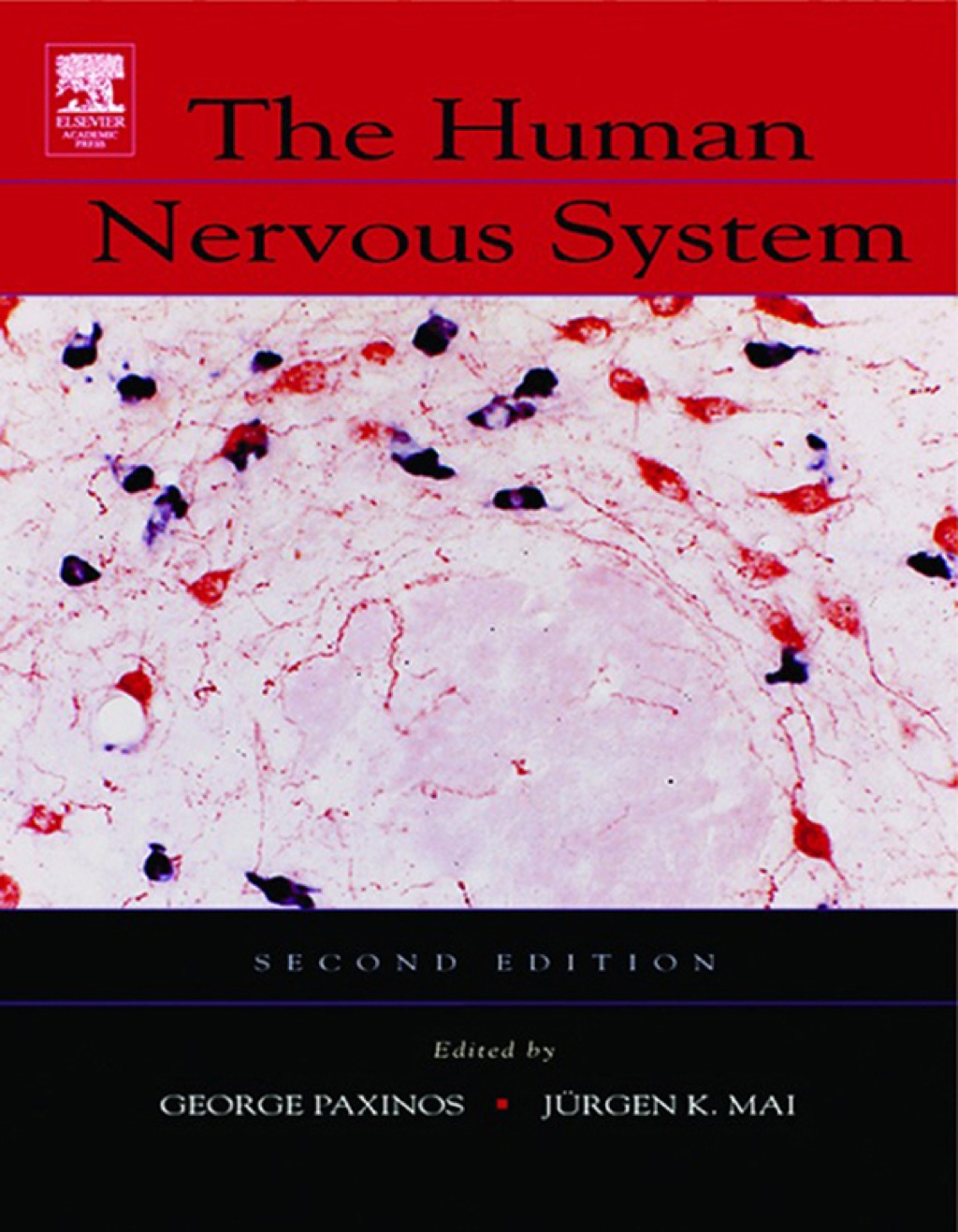 The Human Nervous System 2nd Edition â€“ PDF/EPUB Version Downloadable ...