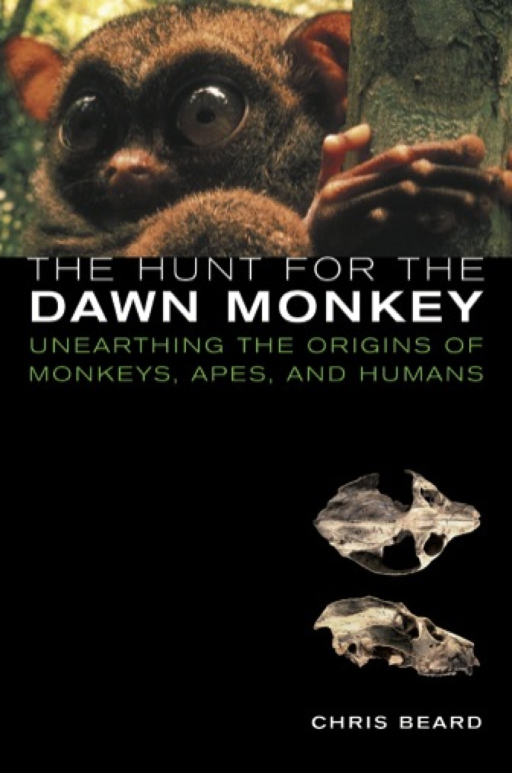 The Hunt for the Dawn Monkey Unearthing the Origins of Monkeys, Apes, and Humans 1st Edition - (PDF/EPUB Version)