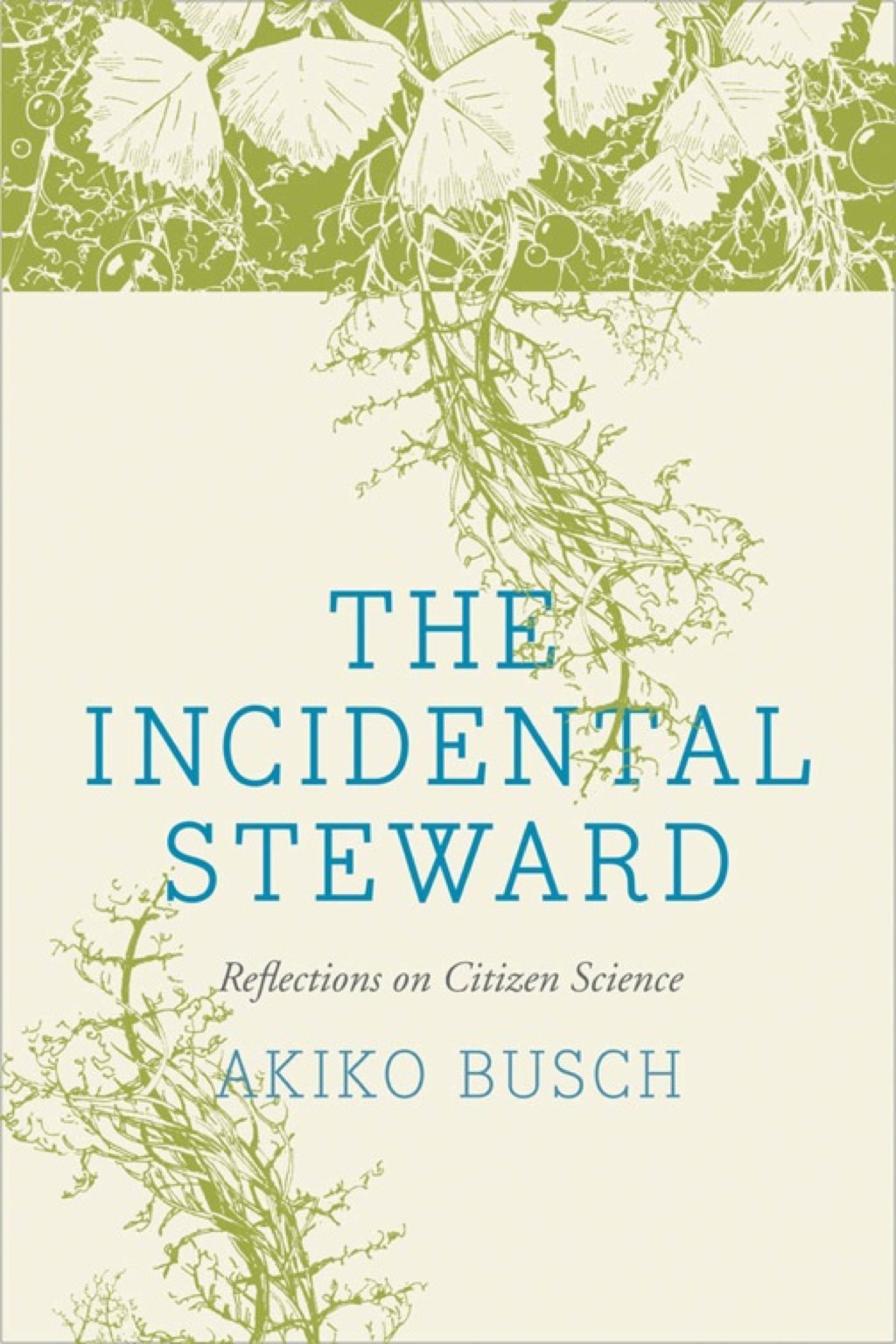 The Incidental Steward - (PDF/EPUB Version)