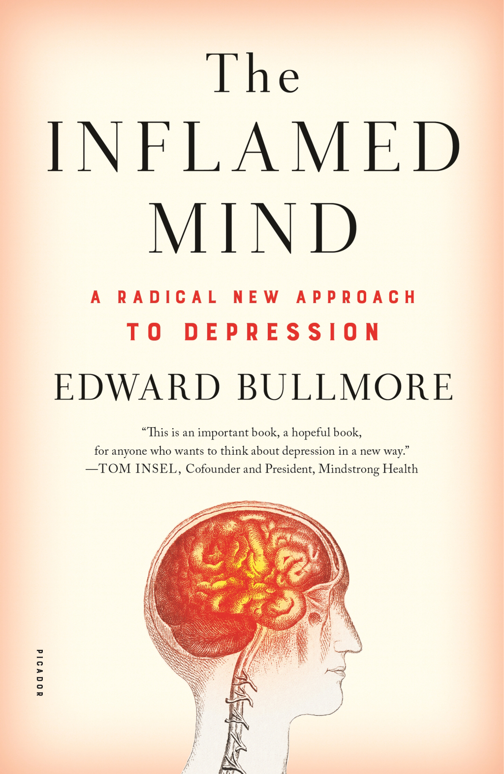 The Inflamed Mind A Radical New Approach to Depression - (PDF/EPUB Version)