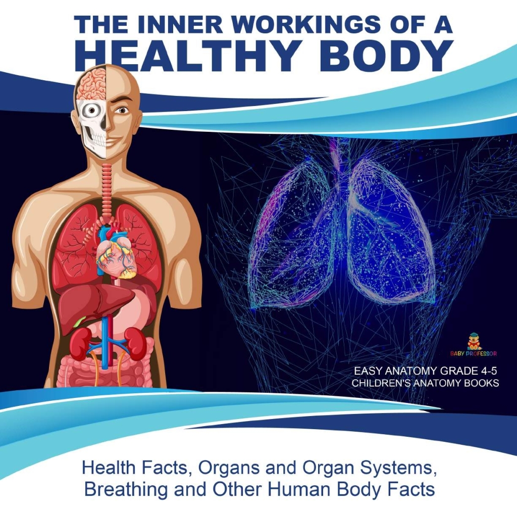 The Inner Workings of a Healthy Body : Health Facts, Organs and Organ Systems, Breathing and Other Human Body Facts | Easy Anatomy Grade 4-5 | Children's Anatomy Books - (PDF/EPUB Version)