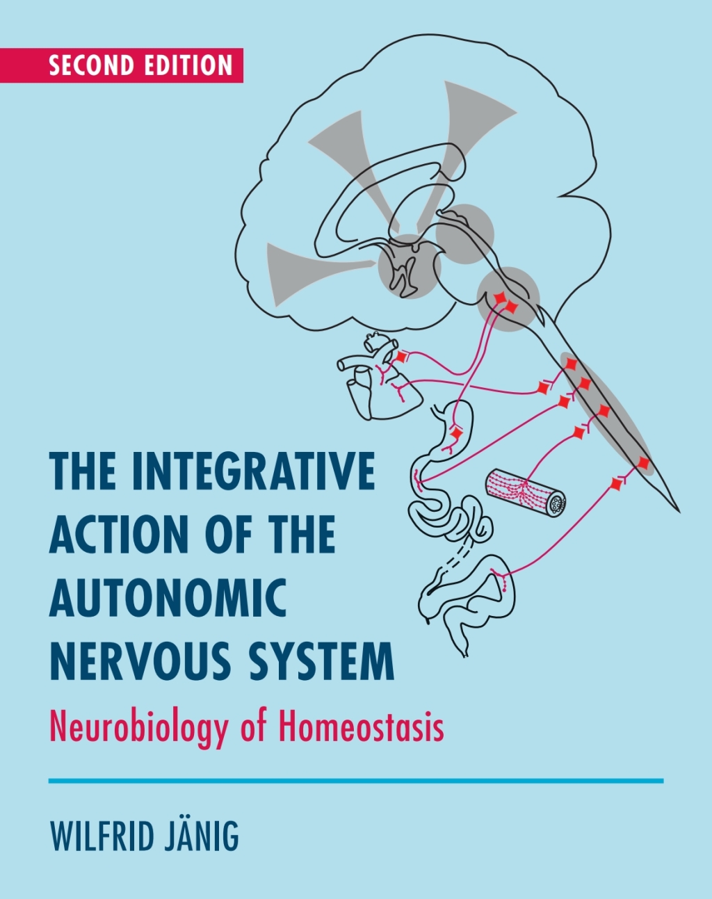The Integrative Action of the Autonomic Nervous System Neurobiology of ...
