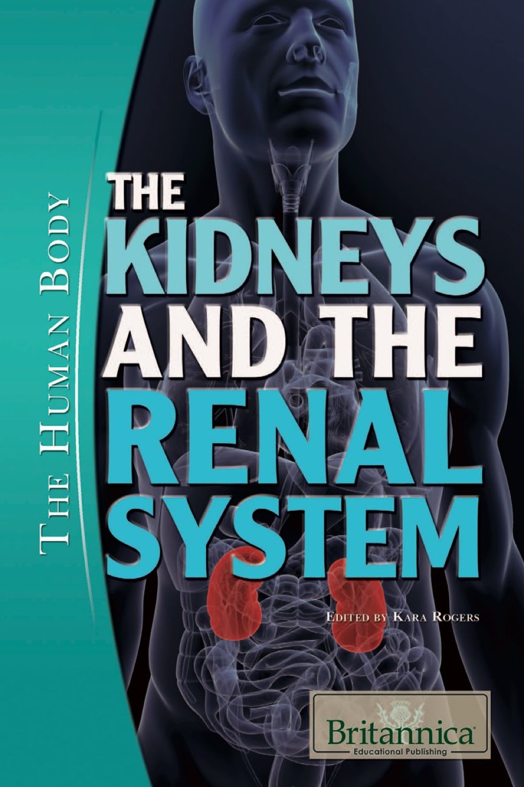 The Kidneys and the Renal System 1st Edition - (PDF/EPUB Version)
