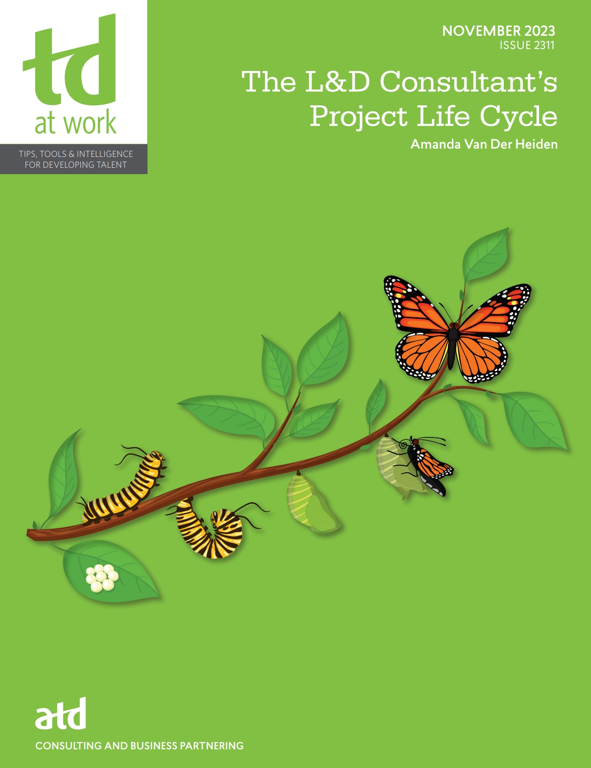 The L&D Consultantâ€™s Project Life Cycle - (PDF/EPUB Version)
