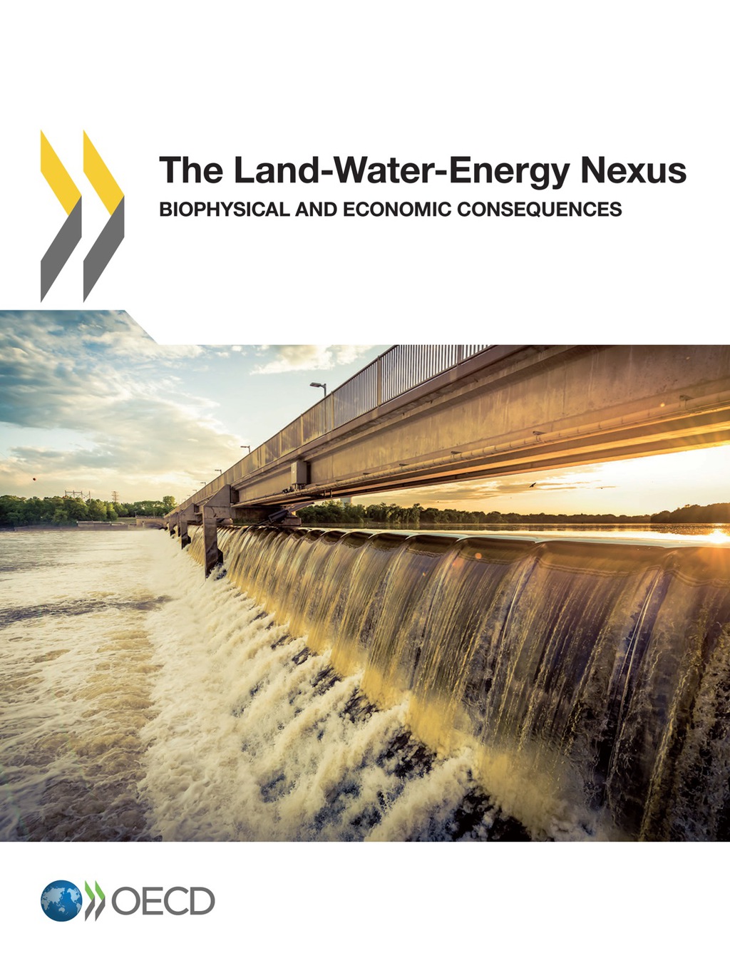 The Land-Water-Energy Nexus Biophysical and Economic Consequences - (PDF/EPUB Version)