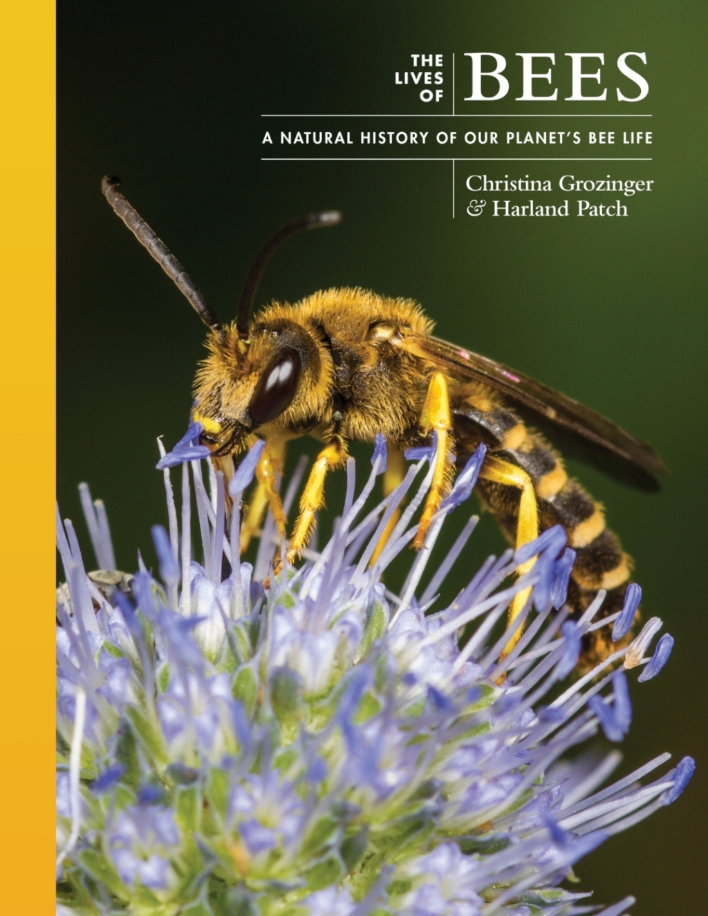 The Lives of Bees A Natural History of Our Planet's Bee Life - (PDF/EPUB Version)