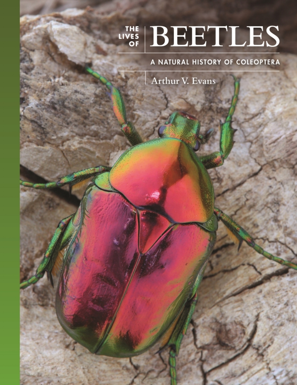 The Lives of Beetles A Natural History of Coleoptera - (PDF/EPUB Version)