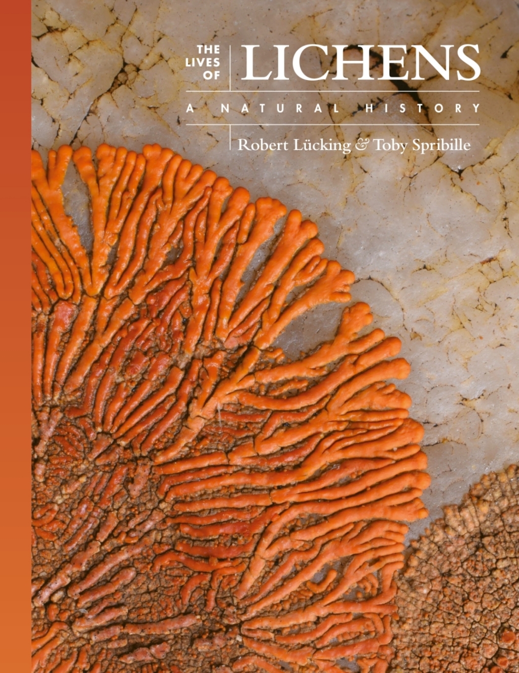 The Lives of Lichens A Natural History - (PDF/EPUB Version)